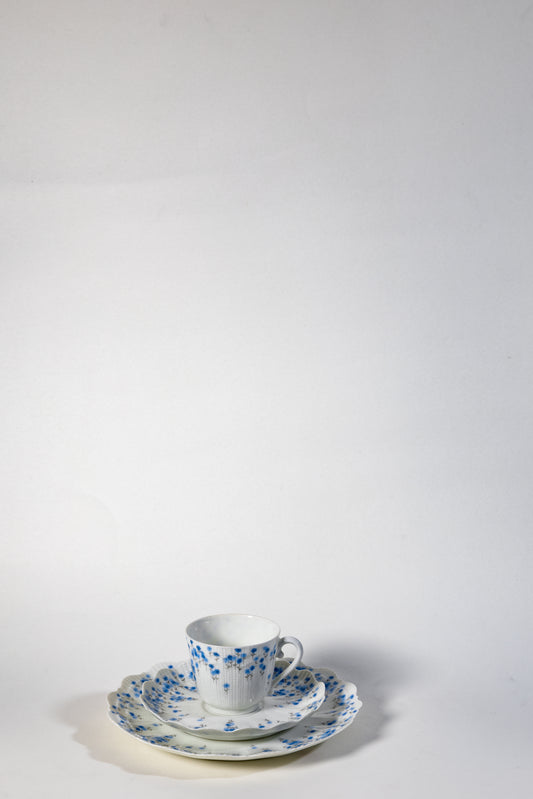 France Limoges Porcelain Cup and Saucer Set