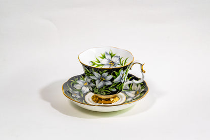Royal Albert Provincial Flowers Teacup & Saucer Set — English Garden Elegance