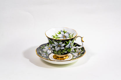Royal Albert Provincial Flowers Teacup & Saucer Set — English Garden Elegance