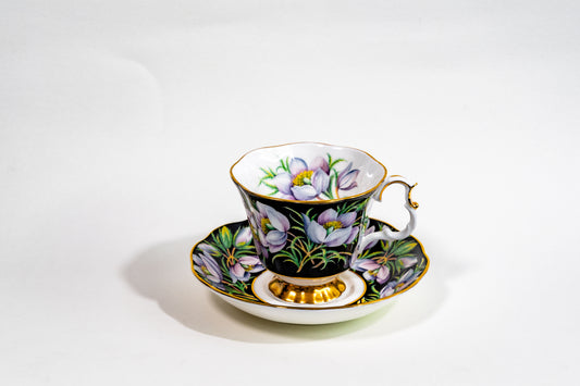 Royal Albert Provincial Flowers Teacup & Saucer Set — English Garden Elegance
