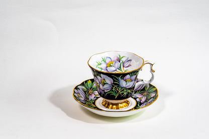 Royal Albert Provincial Flowers Teacup & Saucer Set — English Garden Elegance