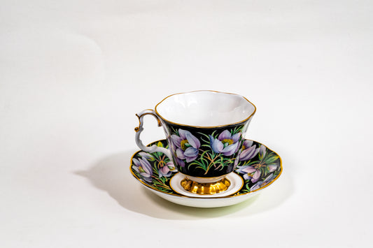 Royal Albert Provincial Flowers Teacup & Saucer Set — English Garden Elegance