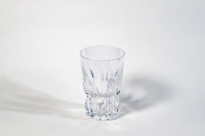 Peil & Putzler Heavy Crystal Beer Glass
