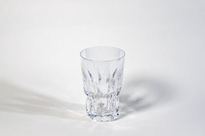 Peil & Putzler Heavy Crystal Beer Glass