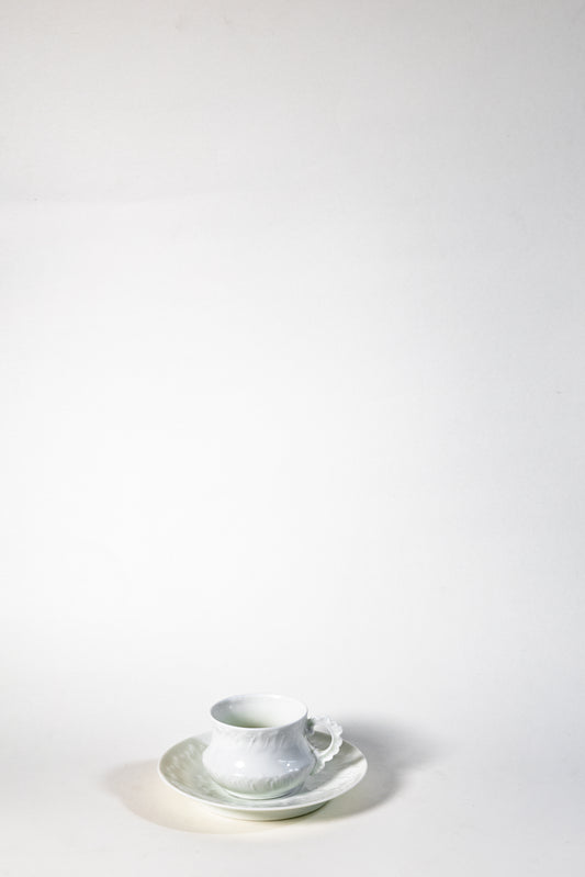 Fine Limoges Porcelain Cup and Saucer