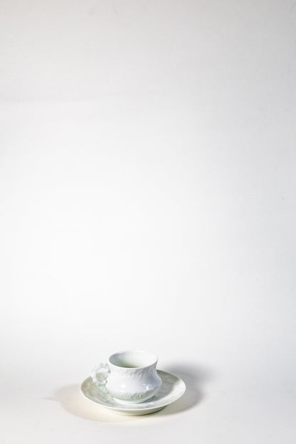 Fine Limoges Porcelain Cup and Saucer