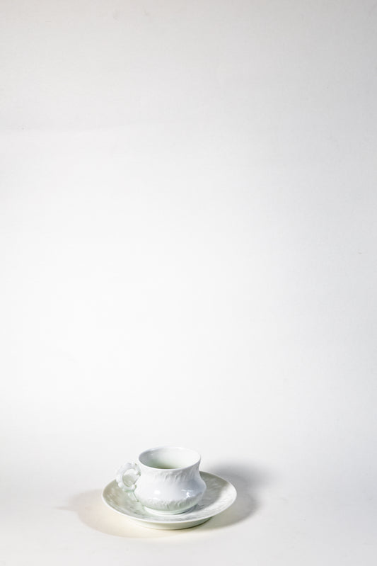 Fine Limoges Porcelain Cup and Saucer