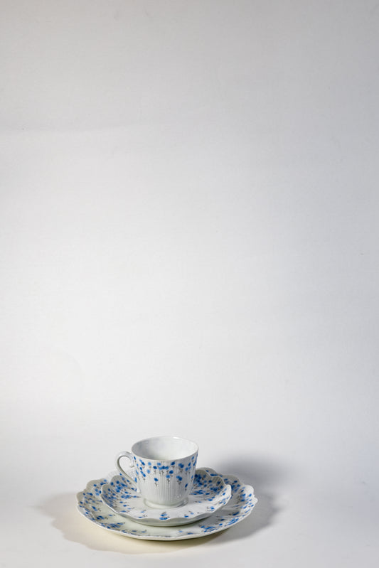 France Limoges Porcelain Cup and Saucer Set