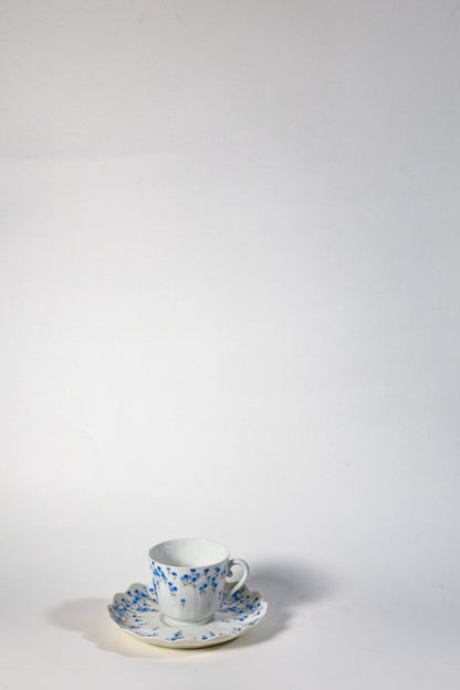 France Limoges Porcelain Cup and Saucer Set