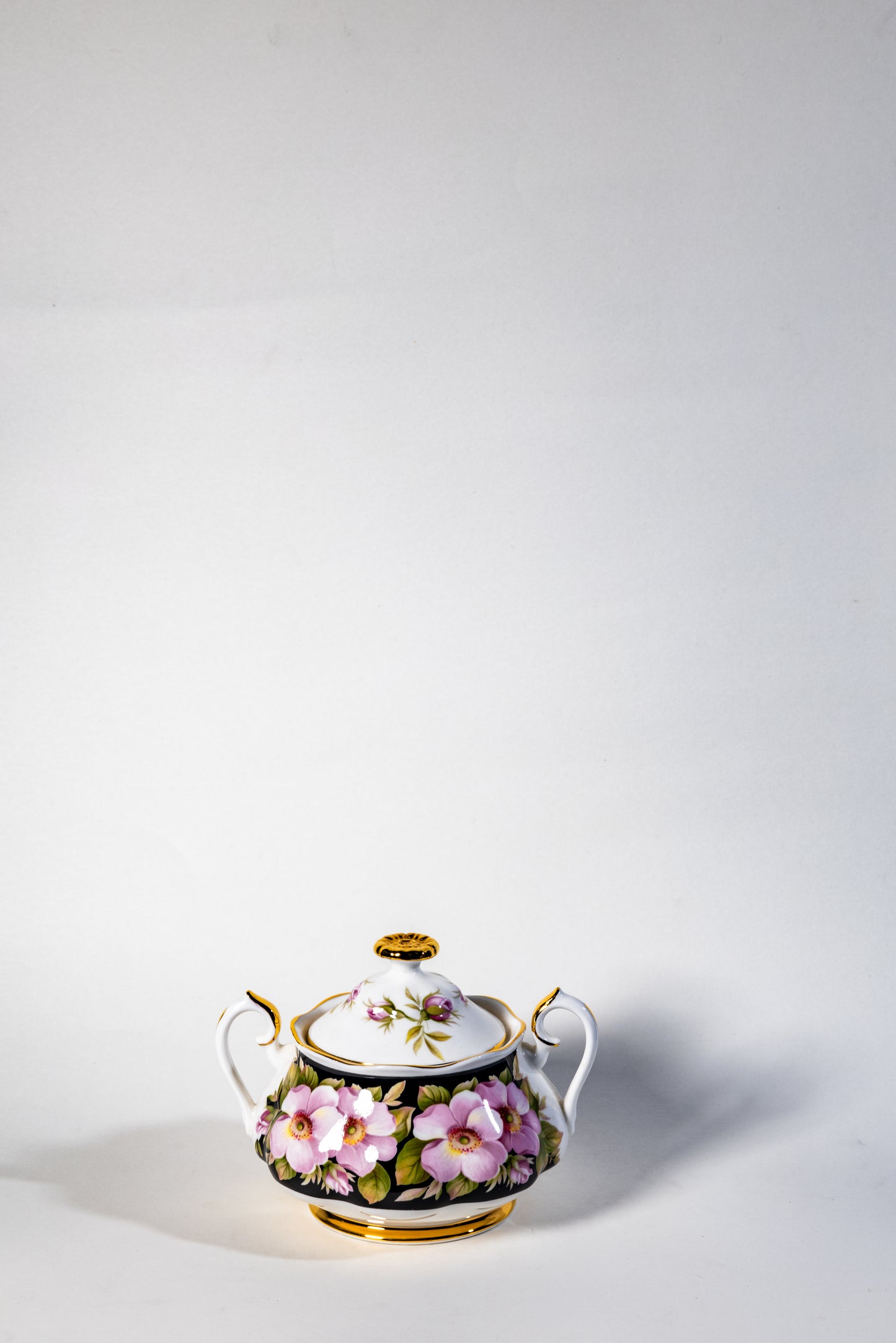 Royal Albert Provincial Flowers Bone China Coffee Set – Fine English Porcelain with Floral Charm