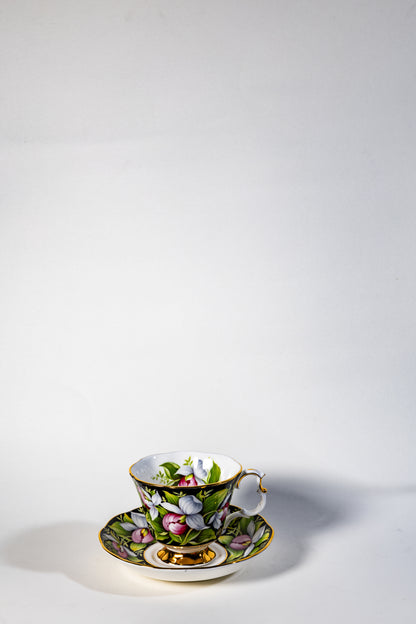 Royal Albert Provincial Flowers Bone China Coffee Set – Fine English Porcelain with Floral Charm